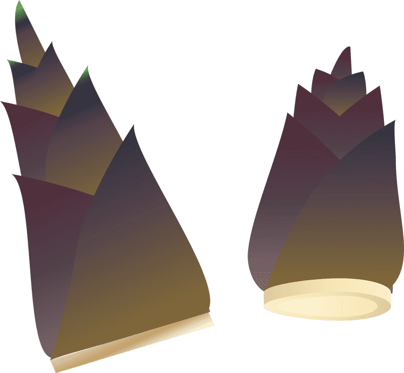 Bamboo Forest Serenity Nature's Majestic Growth PNG