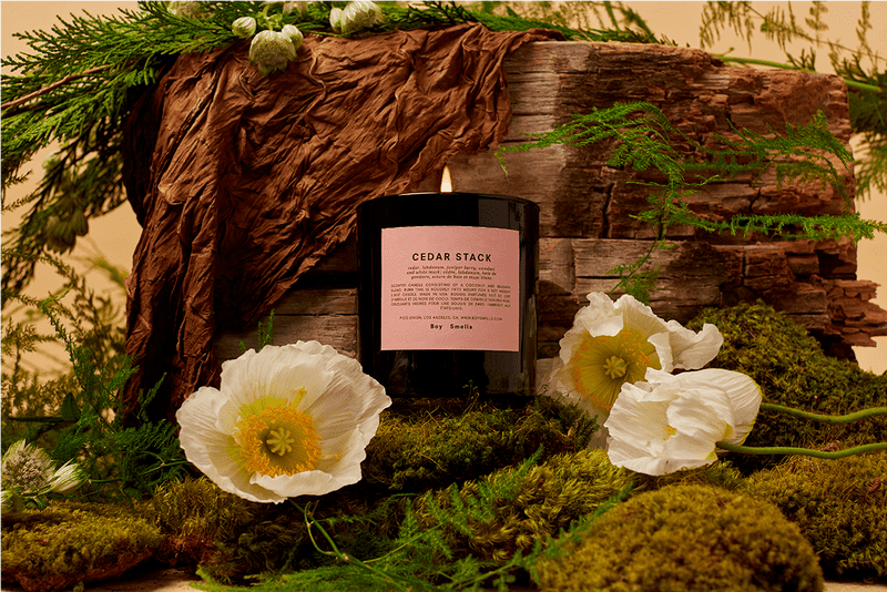 Candle of Cedar Forest Tranquility PNG