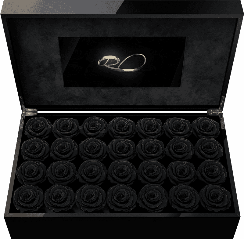 Elegant Black Rose Memory Box PNG