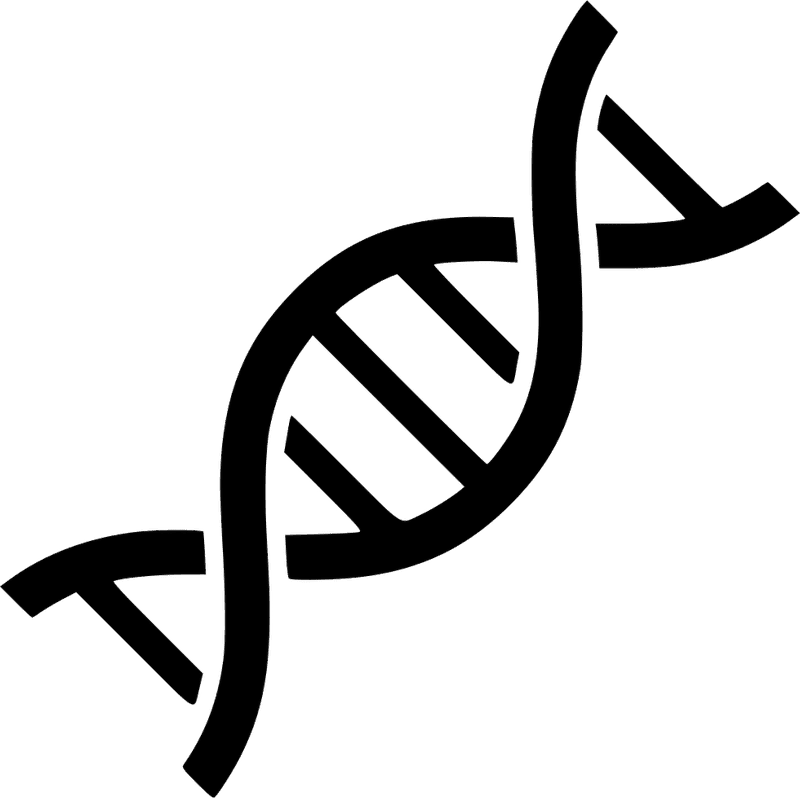 Exploring the Blueprint of Life DNA Insights PNG