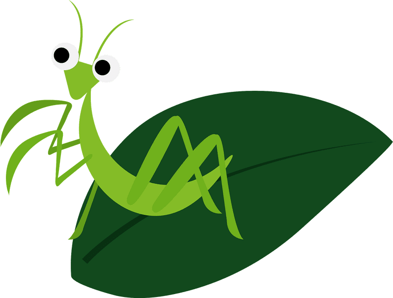 Green Insect on a Leafy Perch PNG