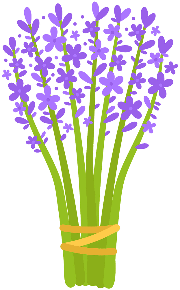 Enchanting Lavender Field Bouquet PNG