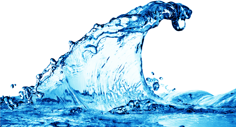 Dynamic Dance of the Ocean Wave PNG