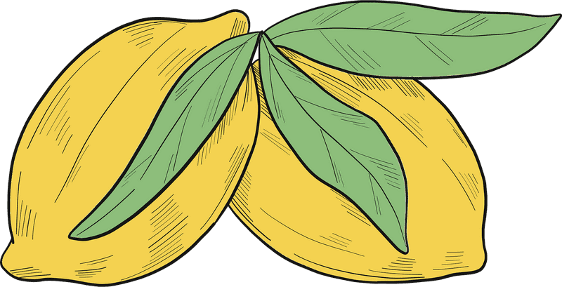 Lemon Tart Delightful Citrus Duo PNG