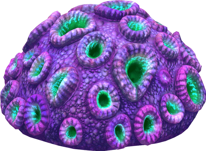 Vibrant Coral Reef Mysteries Beneath the Waves PNG