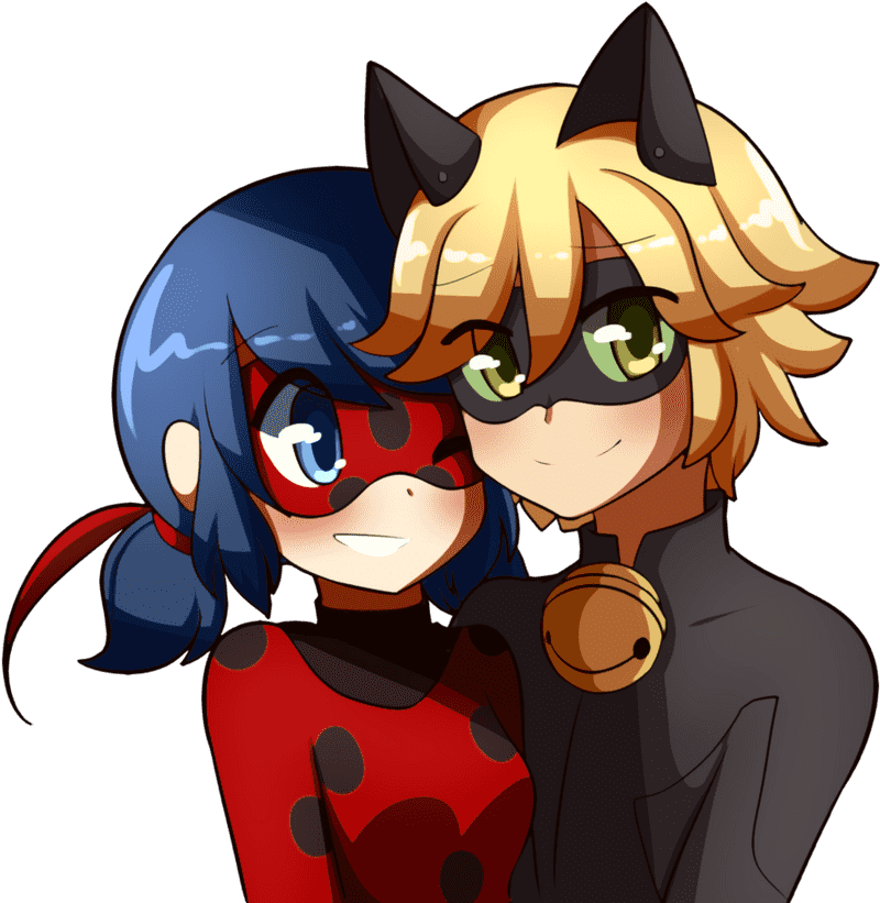 Ladybug and Cat Noir Heroes United PNG
