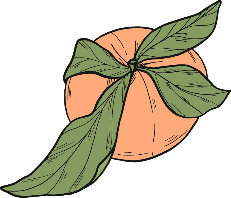 Peach Blossom Reverie Nature's Delicate Harmony PNG