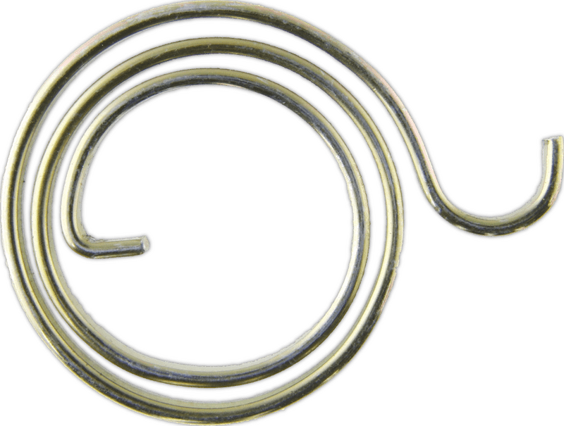 Whispers of Spring The Coil of Renewal PNG