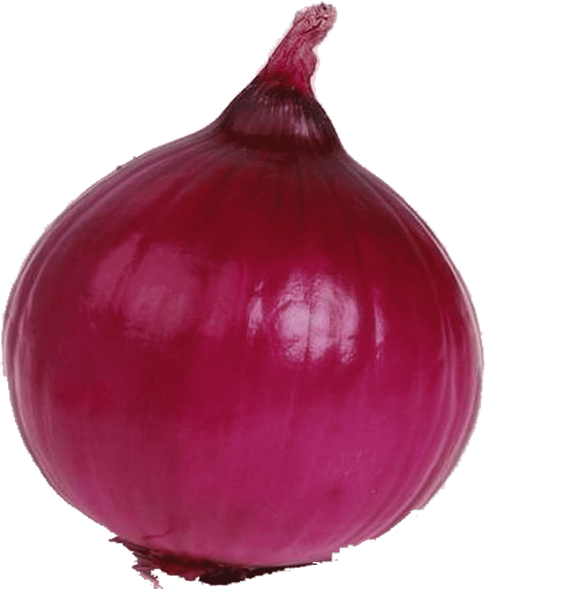 Fresh Red Onion Rings Delight PNG