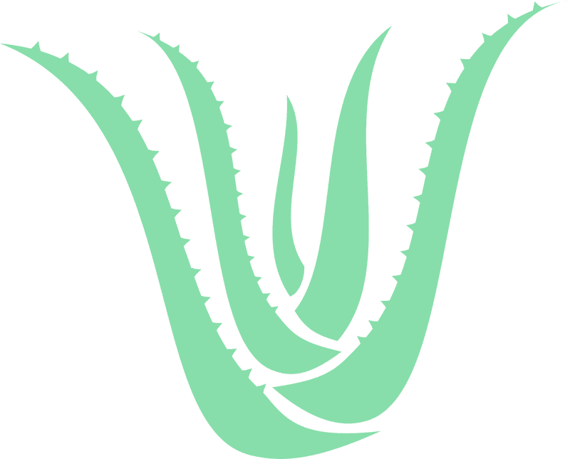 Natural Wellness The Power of Aloe Vera PNG