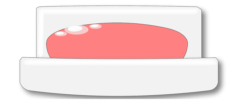 Soft Touch Soap Bar with Gentle Lather PNG