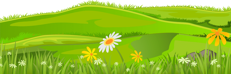 Vibrant Meadow with Colorful Grass and Flowers PNG
