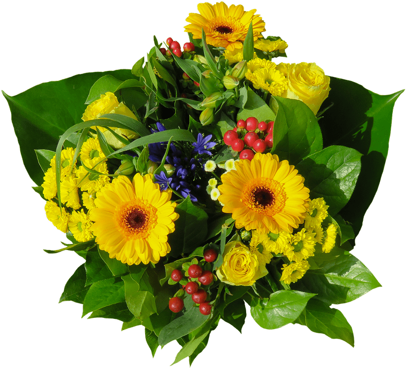 Bright and Cheerful Flower Bouquet Delight PNG