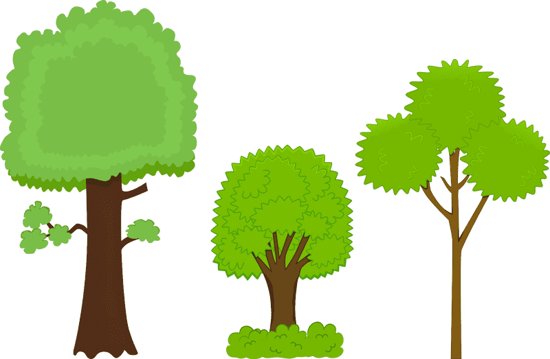 A Trio of Lush Green Trees PNG