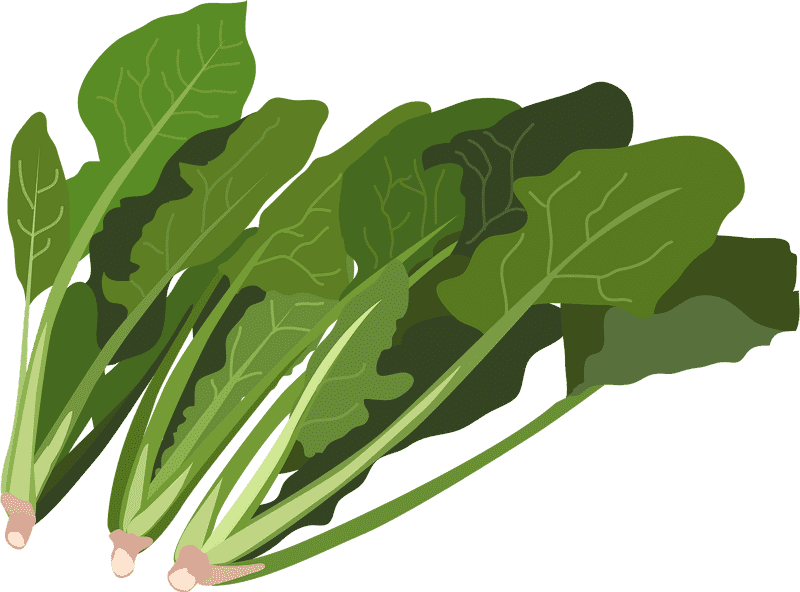 Vibrant Kale Salad Delight PNG