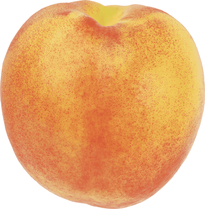 Peach Blossom Serenity in Fruity Delight PNG