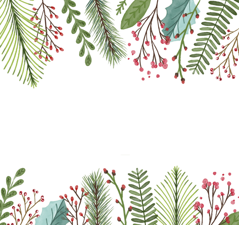 Festive Email Design with Holiday Foliage PNG