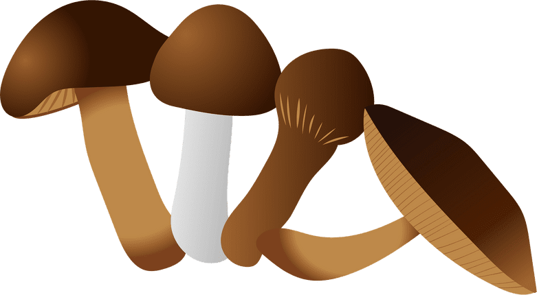 Mushroom Medley A Forest Delight PNG