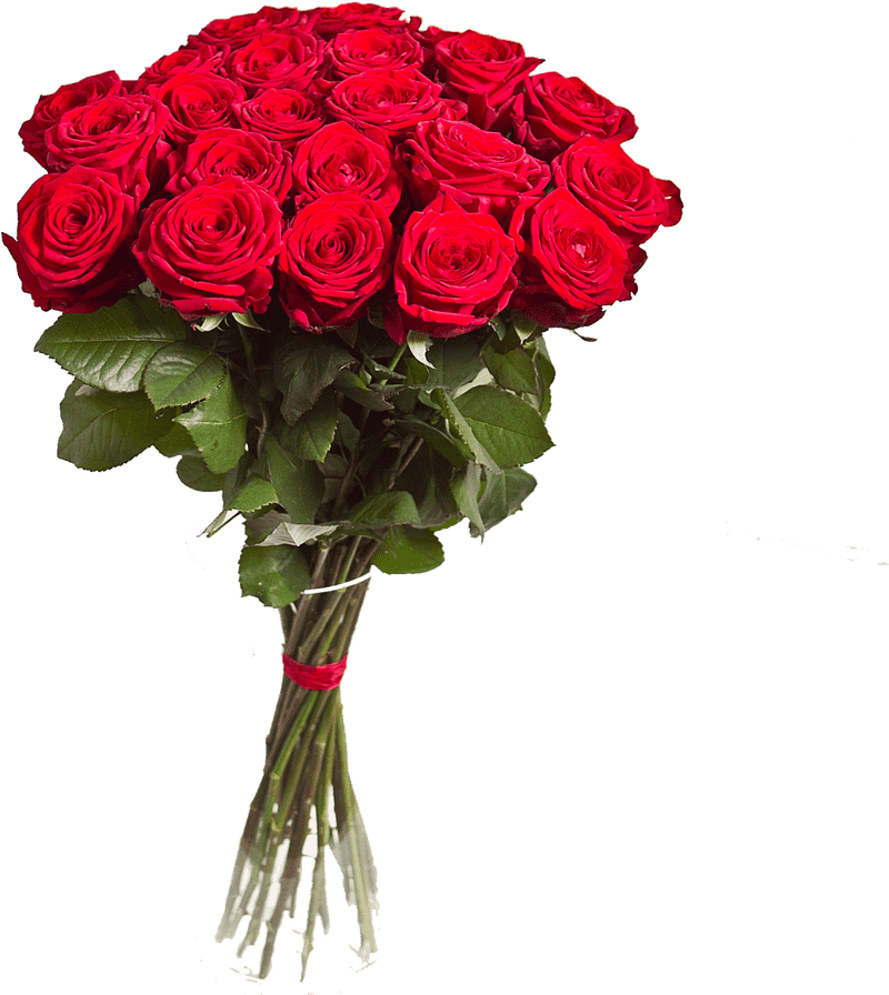 Classic Red Rose Flower Bouquet Delight PNG
