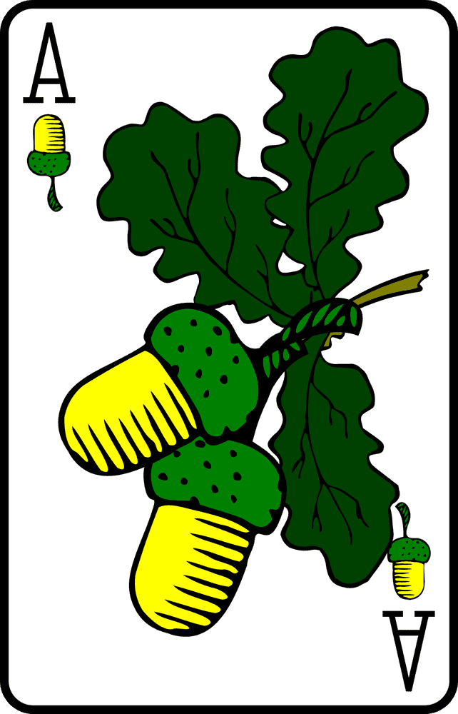 Acorn Adventure Nature's Tiny Treasure PNG