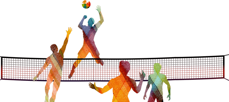 Colorful Insect Net Volleyball Game Scene PNG
