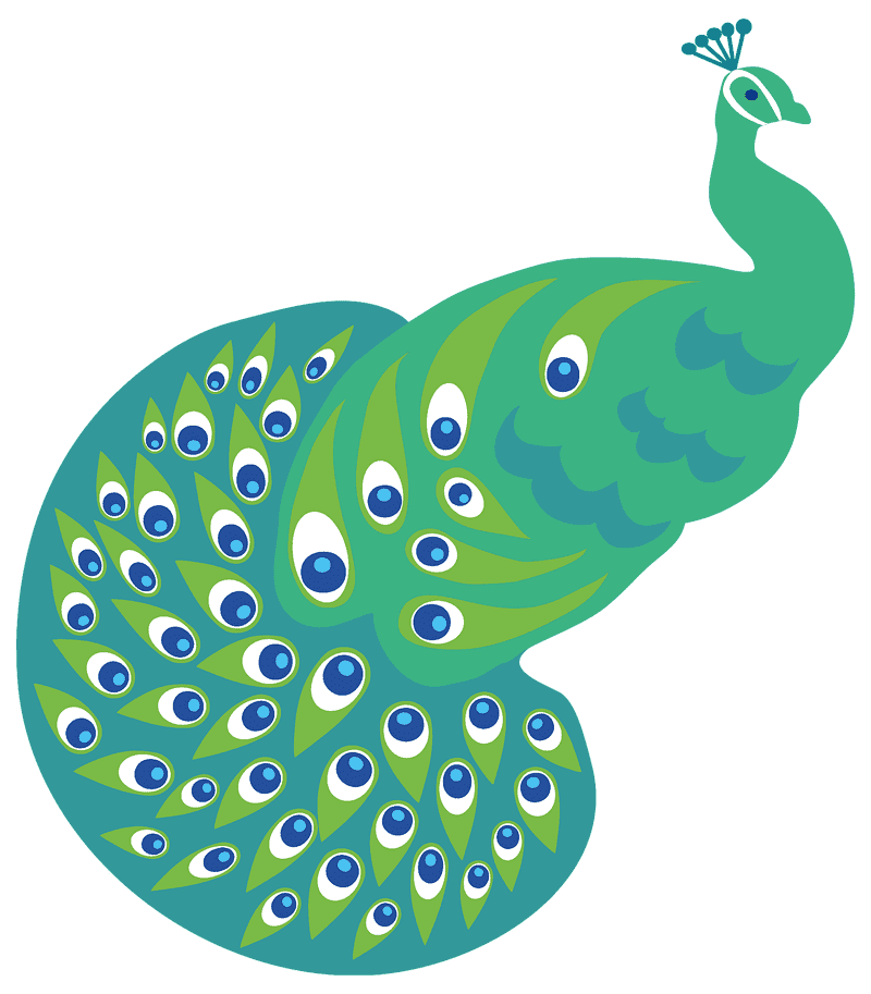 Enchanted Peacock of Colorful Elegance PNG