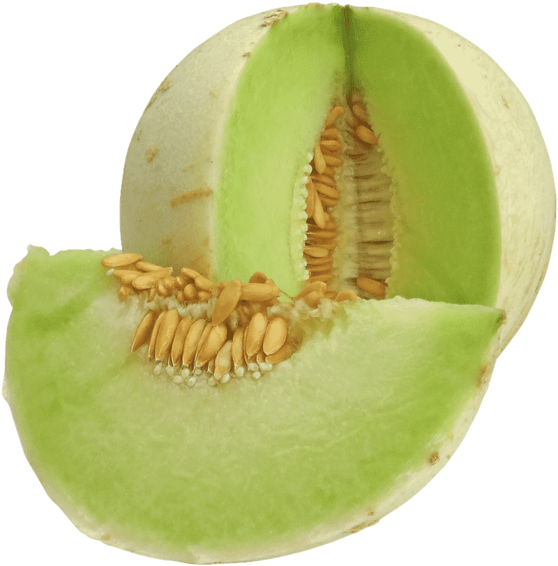 Fresh and Juicy Melon Slice Delight PNG