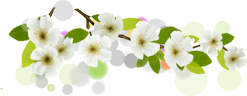 Floral Springtime Celebration Banner PNG