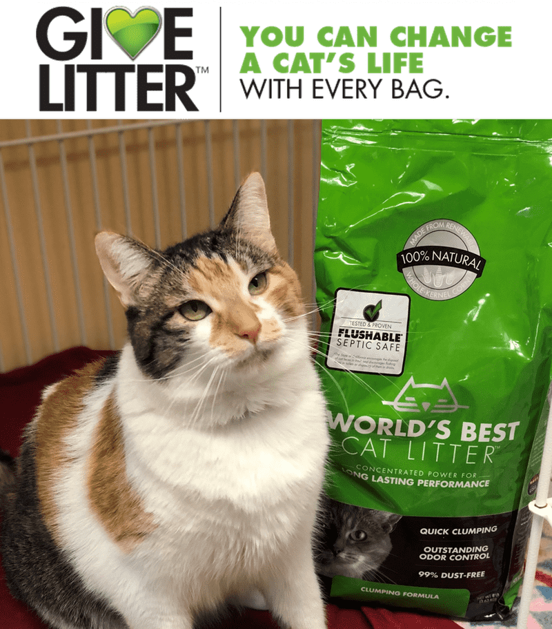 Cat's Comfort The Natural Choice for Litter PNG