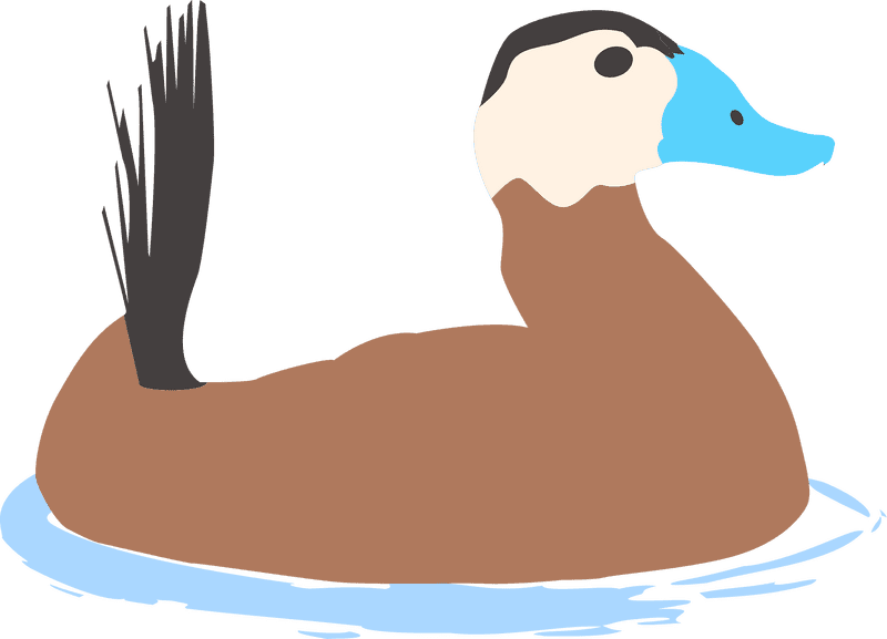 Whimsical Rubber Duck on Tranquil Waters PNG