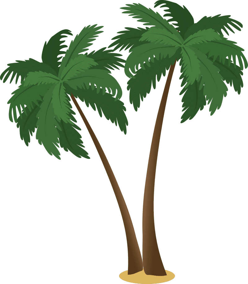 Tropical Paradise with Palm Trees PNG