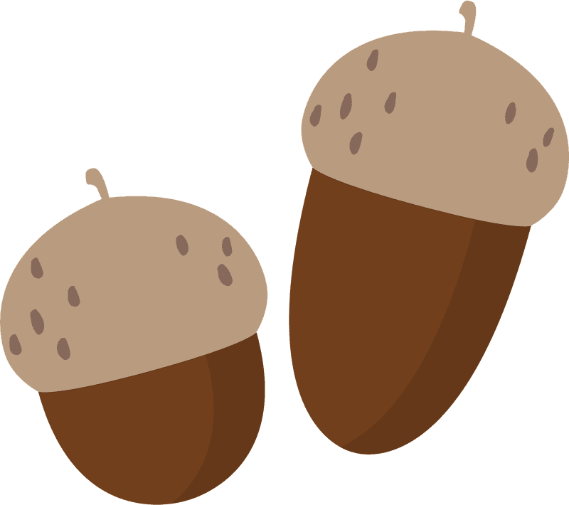 Charming Acorn Duo Nature's Tiny Treasure PNG