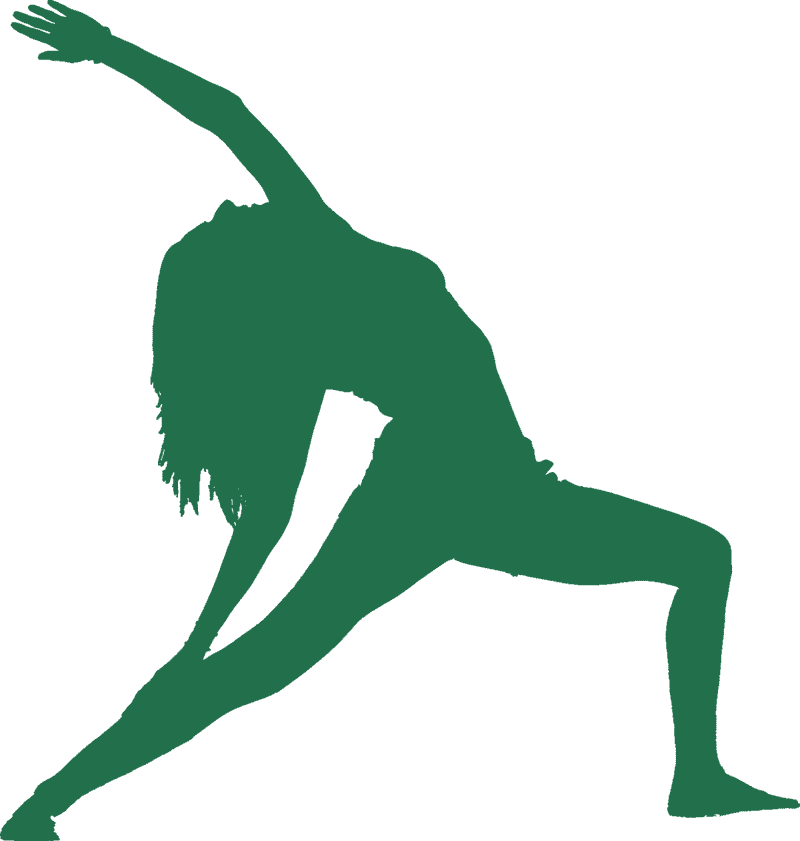 Dynamic Yoga Flow for Inner Peace PNG