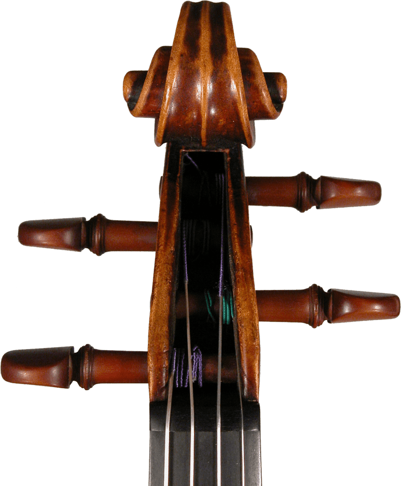 Close-up Picture of a Musical Instrument's Headstock PNG