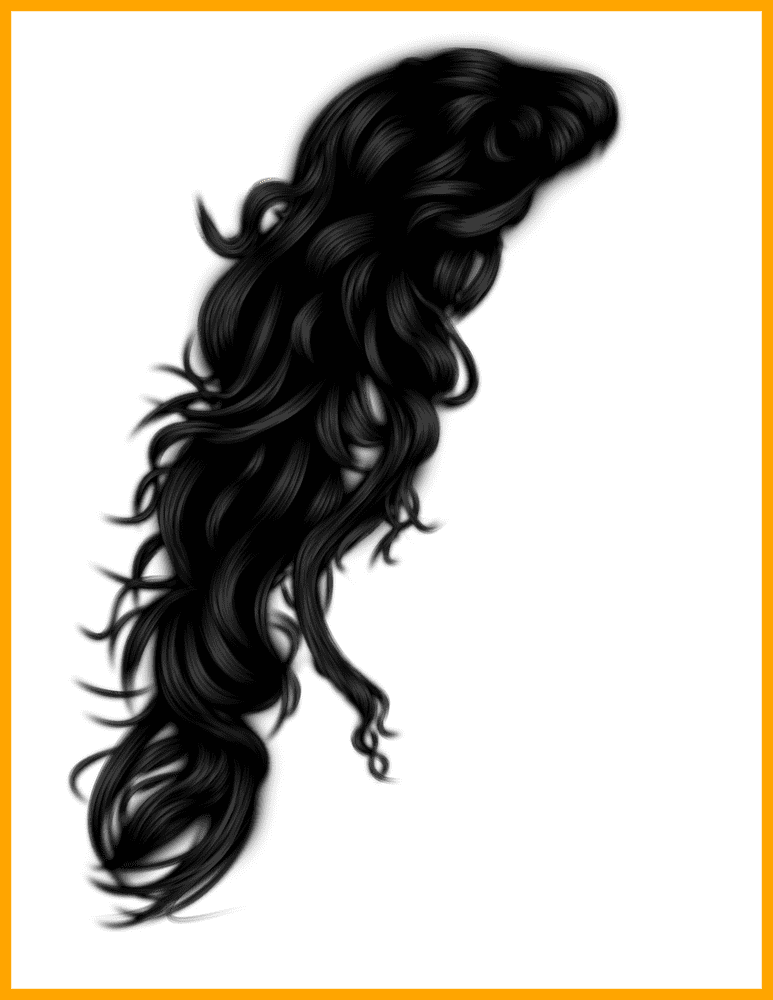 Luxurious Locks Hair Dryer Experience PNG