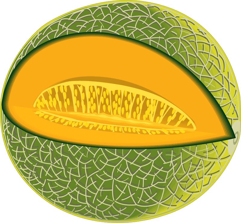 Fresh and Juicy Melon Slice Delight PNG