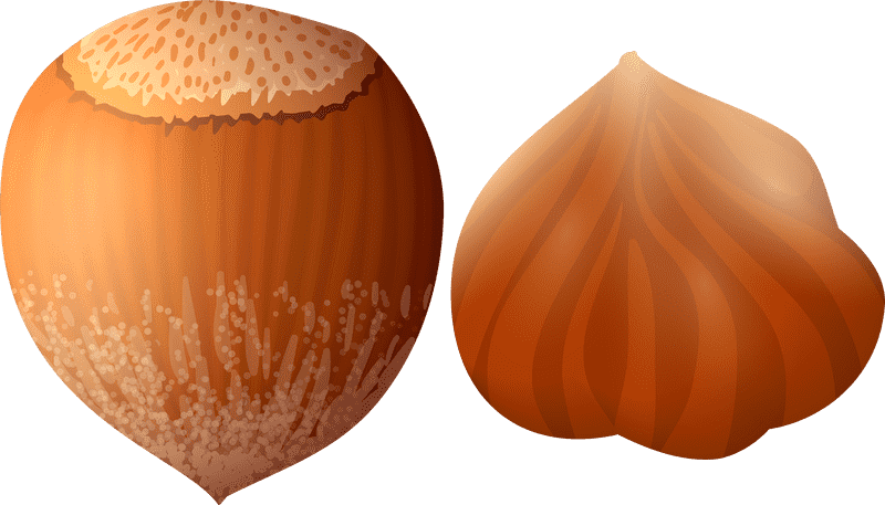 Hazelnut Delight Nature's Sweet Surprise PNG