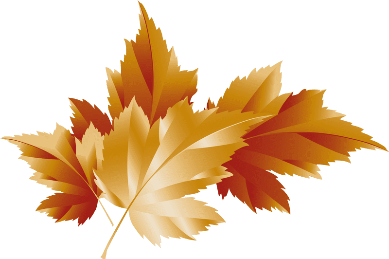 Autumn's Golden Leaf Symphony PNG