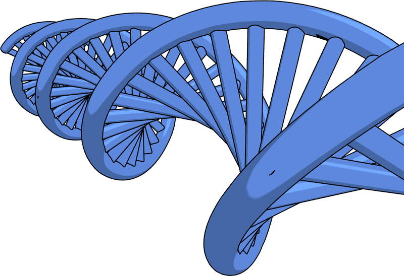 DNA The Blueprint of Life PNG