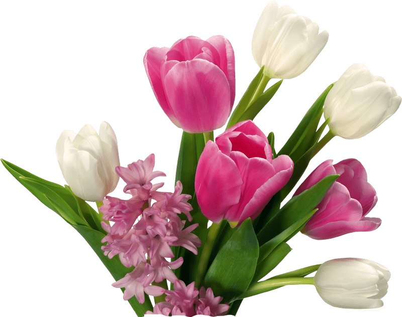 Elegant Spring Blossom Flower Arrangement PNG