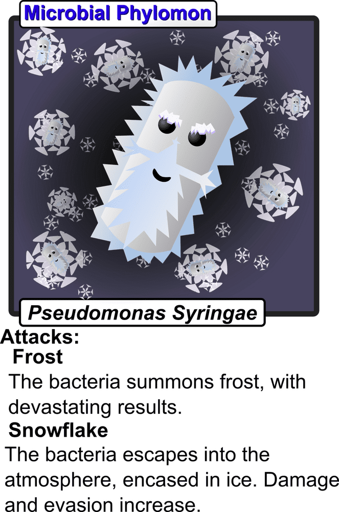 Charming Bacteria The Pseudomonas Syringae Adventure PNG
