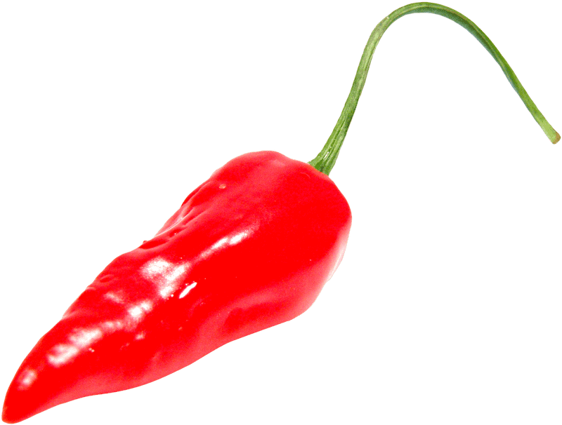 Vibrant Red Chili Pepper Delight PNG