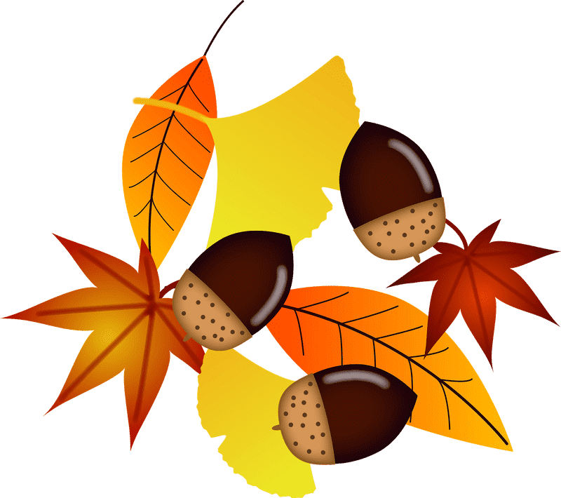 Autumn Acorn Harmony with Colorful Leaves PNG