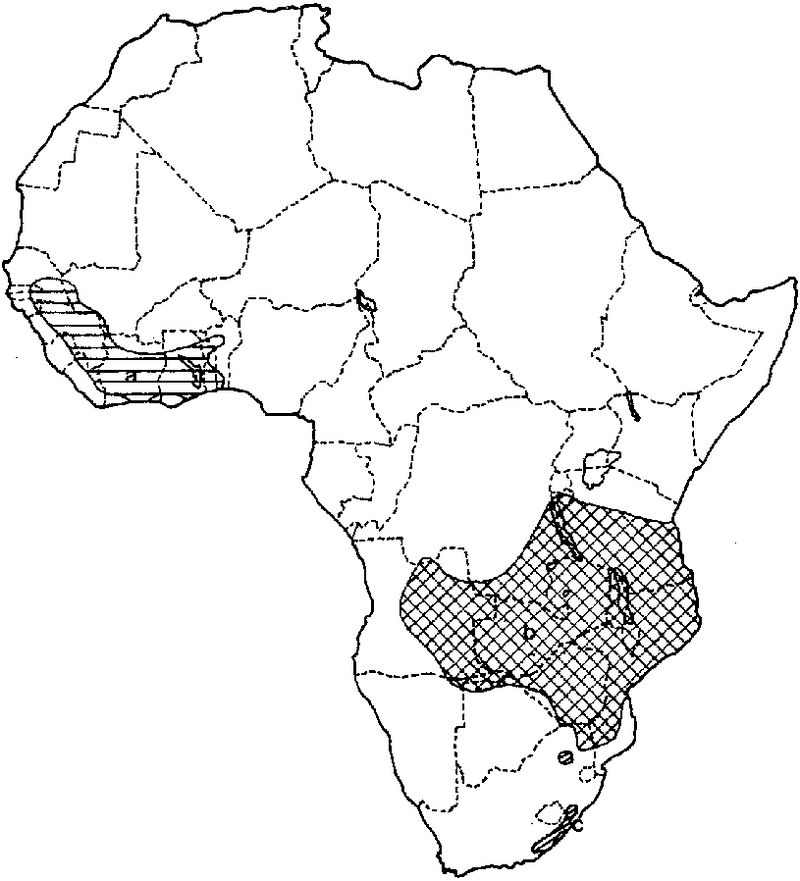 Detailed Island Map of African Coastlines PNG