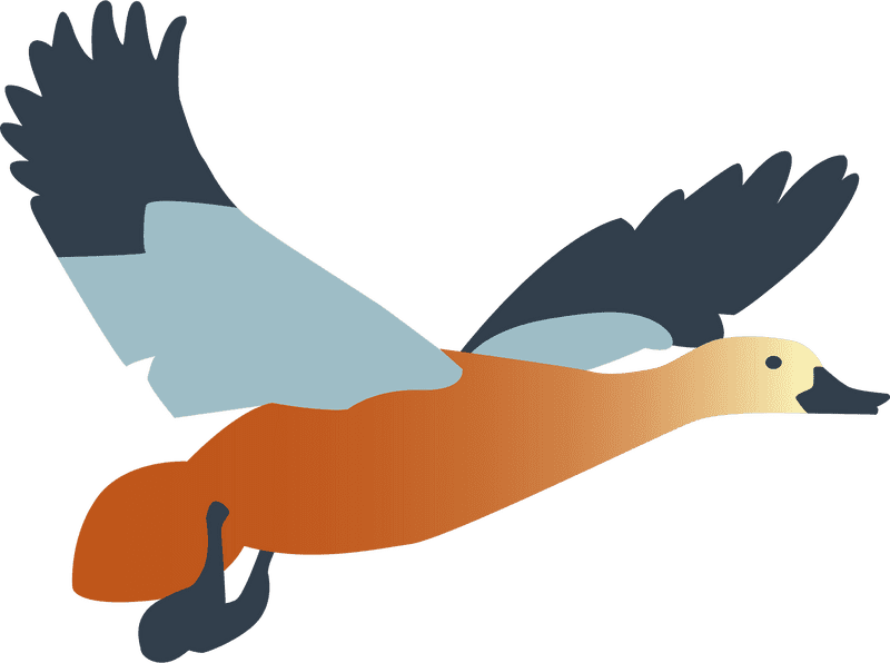 Rubber Duck in Flight Adventure PNG