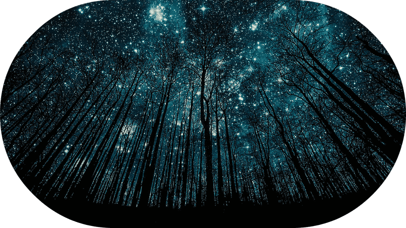 Whispers Beneath the Night Sky Stars PNG