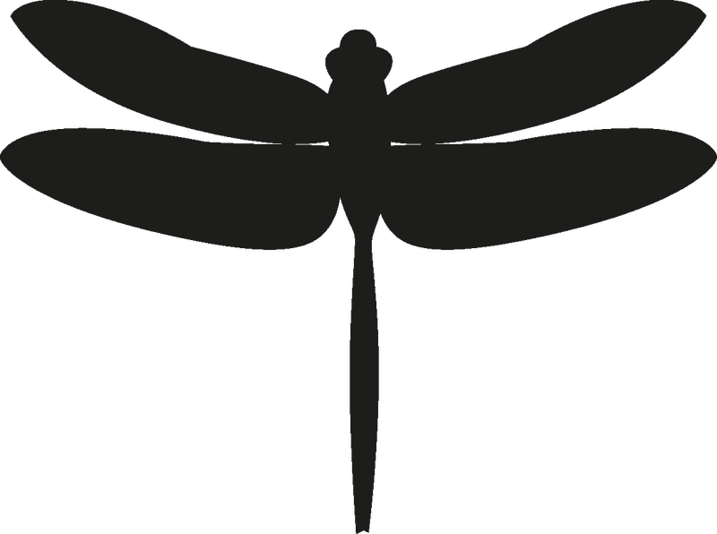 Elegant Insect The Dragonfly of Nature PNG