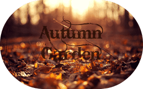Autumn Leaf Garden Serenity PNG