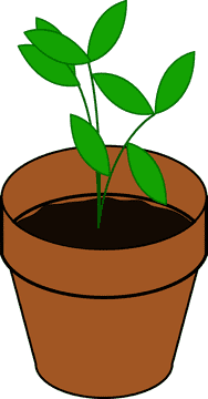 Simple Green Plant Pot with Fresh Leaves PNG