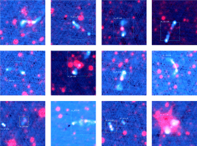 Artificial Intelligence in Data Visualization PNG